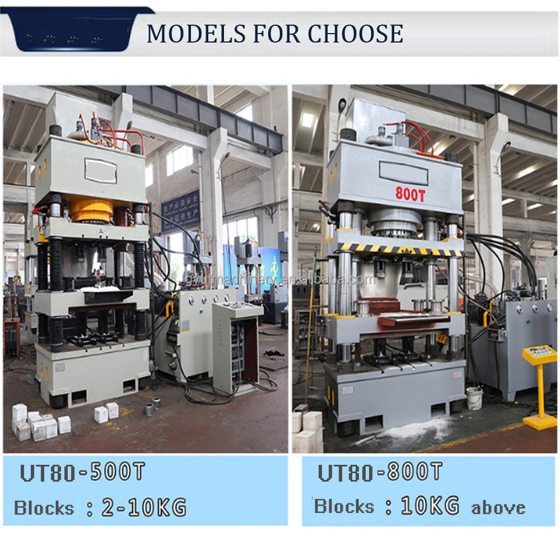 동물 소금 미네랄 릭링 블록 2kg 5kg 10kg을 위한 맞춤형 수압 압축 기계