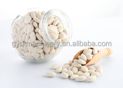 85-95% 전체 핵 비율 오브리코트 핵을 찢고 찢는 습한 껍질을 벗기는 기계