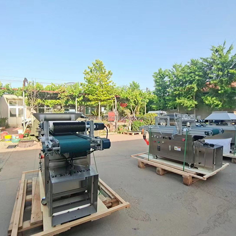 토마토 심기 기계 120 트레이 라투스 씨앗 식물 씨앗 플랜터 플라스틱 트레이