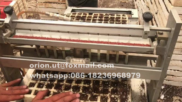 토마토 심기 기계 120 트레이 라투스 씨앗 식물 씨앗 플랜터 플라스틱 트레이