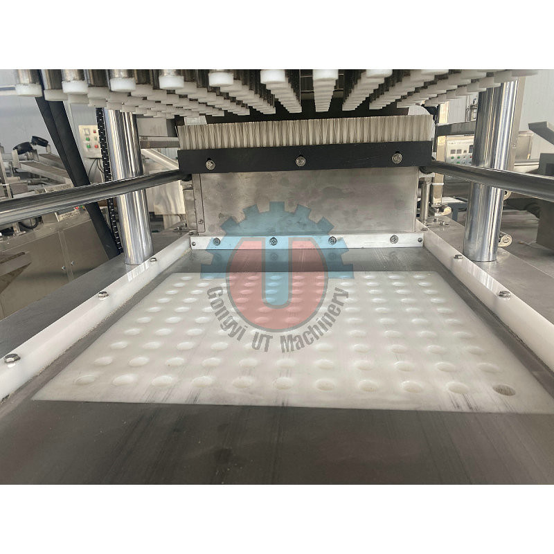 자동 300kg/H 은 커피 덩어리 설탕 압축 기계