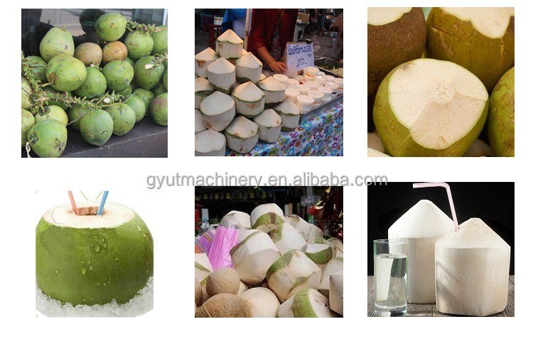 0.8kW 녹색 코코넛 껍질 벗기 기기
