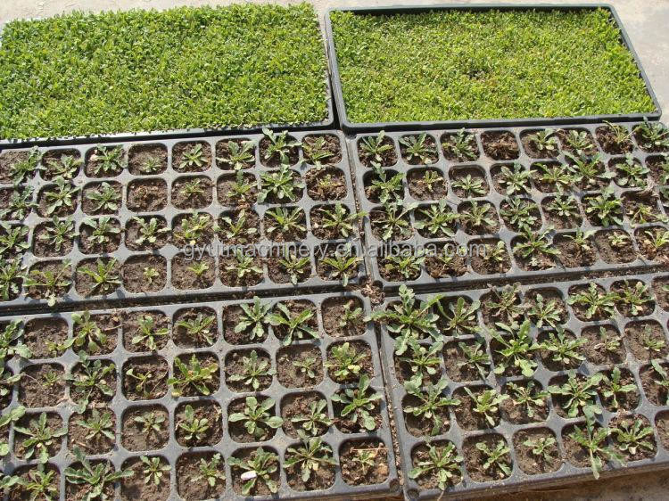 95%~98% 심기 정확성 양파 샐러드 씨 심기 위한 농장 보육시설 심기 기계