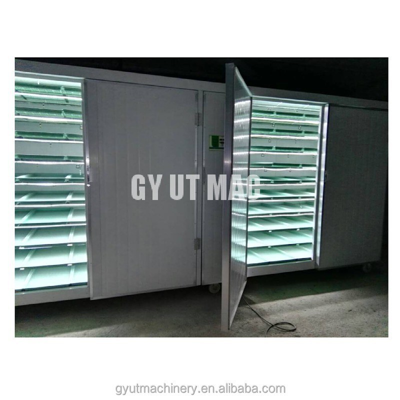 용량 500kg/일 유성층 컨테이너형 보리 미세 녹색 싹을 키우는 기계