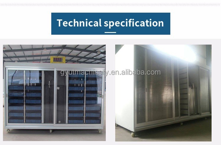 용량 500kg/일 유성층 컨테이너형 보리 미세 녹색 싹을 키우는 기계
