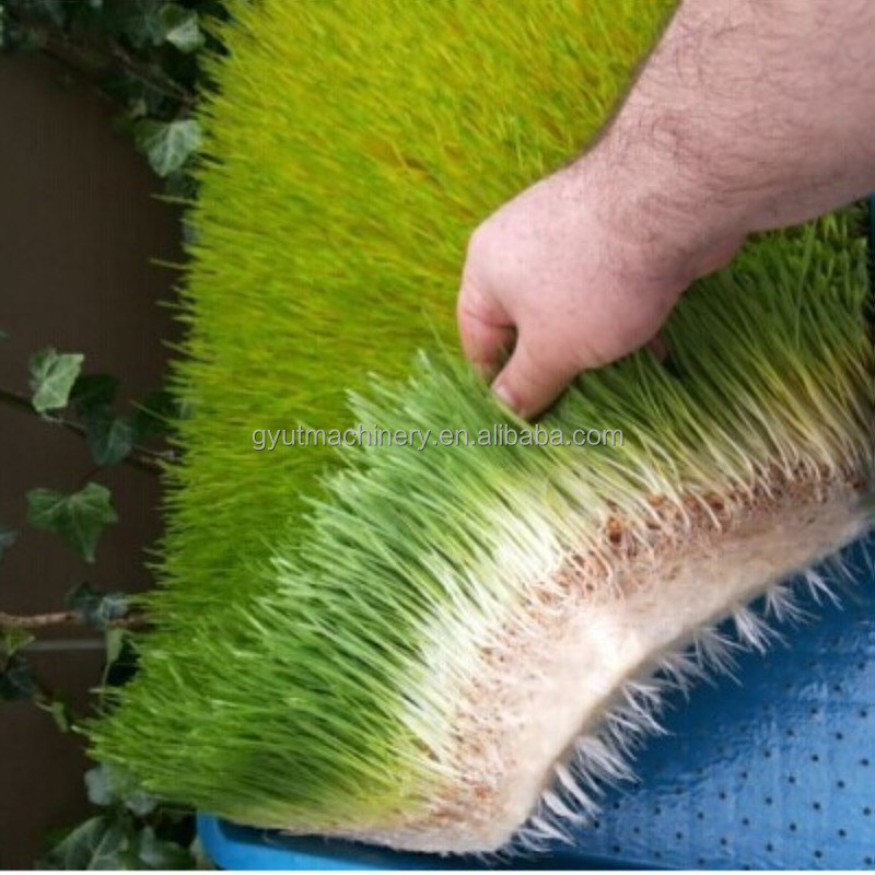 최고 수준의 미크로그린 채소 재배 기계 수식 기계 기계 수리 작업실