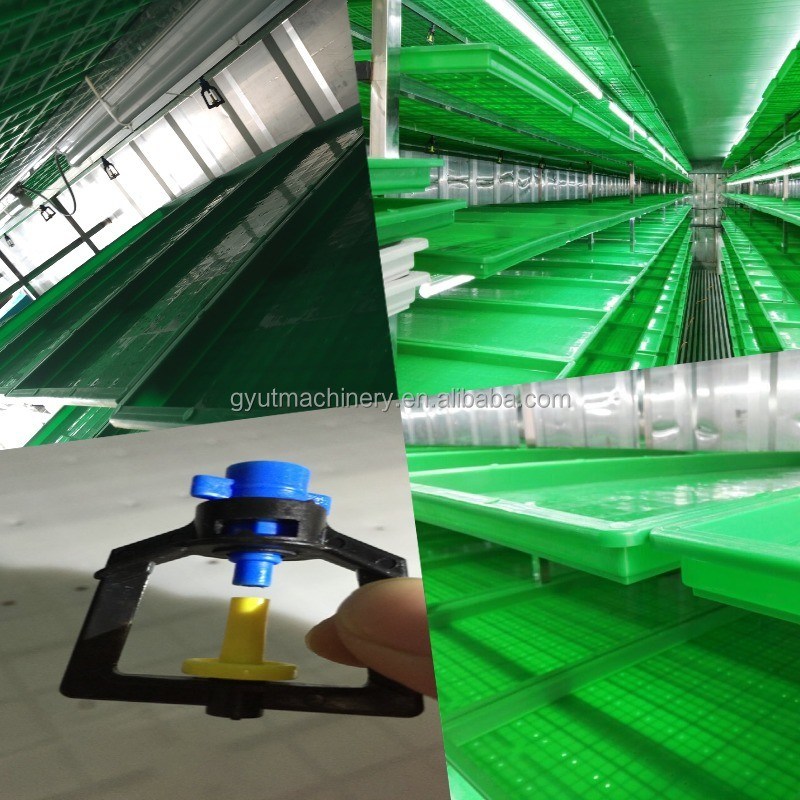 닭고기 먹이 생산용 2400w 수식용 사료 싹 기기 61*44*27cm 크기